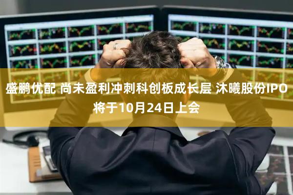 盛鹏优配 尚未盈利冲刺科创板成长层 沐曦股份IPO将于10月24日上会