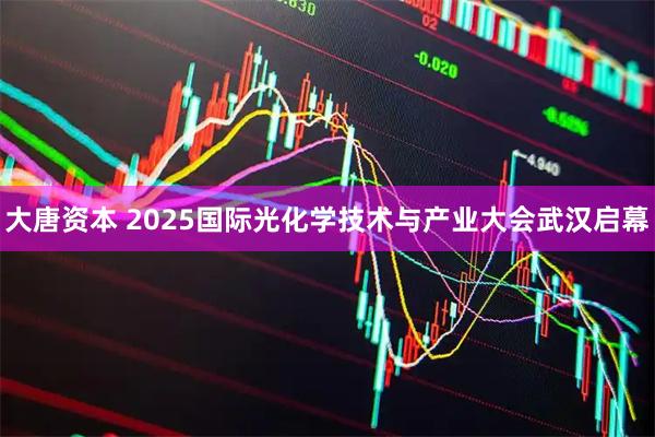大唐资本 2025国际光化学技术与产业大会武汉启幕