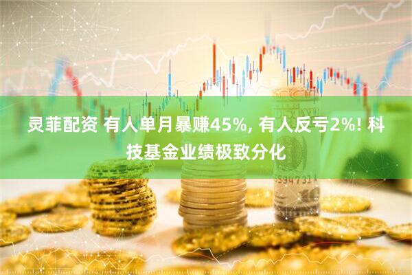 灵菲配资 有人单月暴赚45%, 有人反亏2%! 科技基金业绩极致分化