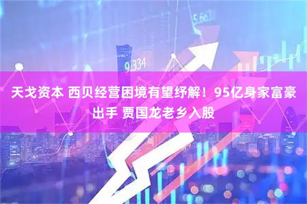 天戈资本 西贝经营困境有望纾解！95亿身家富豪出手 贾国龙老乡入股