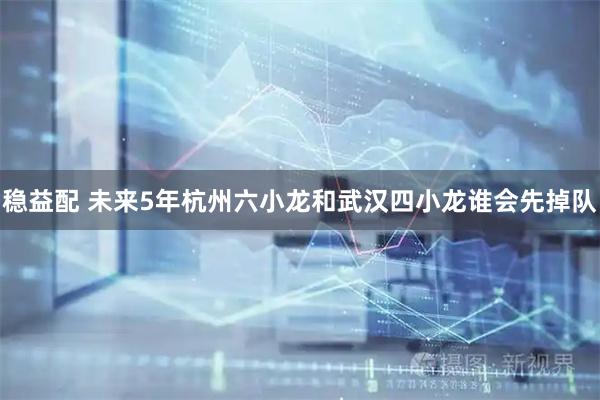 稳益配 未来5年杭州六小龙和武汉四小龙谁会先掉队