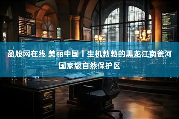 盈股网在线 美丽中国丨生机勃勃的黑龙江南瓮河国家级自然保护区